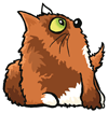 Maestro the Cat