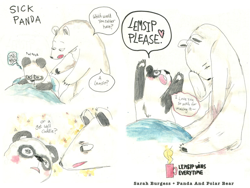 PANDA & POLAR BEAR by Louise Wei & Dave Hodgkinson with Sarah Burgess