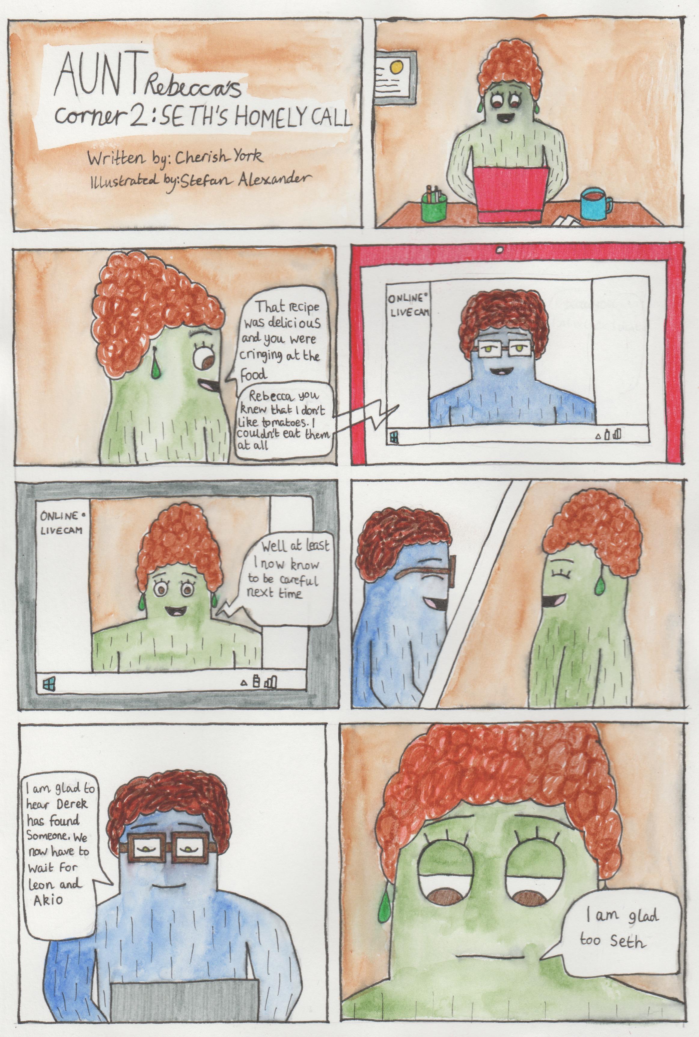 Cherish York's Aunt Rebecca's Triplet Sons illustrated by Stefan Alexander